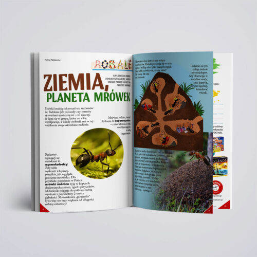 Kumpel 7/2024 - czasopismo edukacyjne - obrazek 4