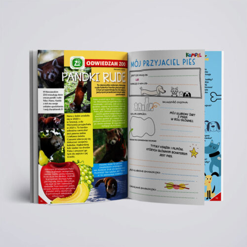 Kumpel 2/2025 - czasopismo edukacyjne - obrazek 5