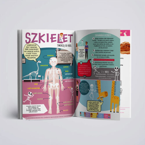 Kumpel 5/2025 - czasopismo edukacyjne - obrazek 3