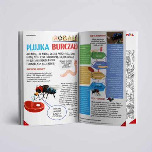 Kumpel 5/2025 - czasopismo edukacyjne - obrazek 2